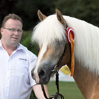 Anais - Siegerin der Haflinger Eliteschau 2010