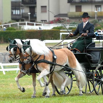 Arndt Lrcher mit Amiro und Aurach