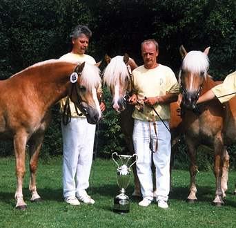 Wolfgang-Beindorff-Pokal