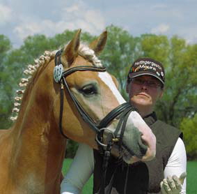 Foto: Haflinger aktuell