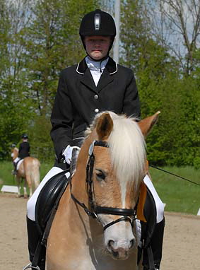 Foto: Haflinger aktuell