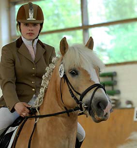 Foto: Haflinger aktuell