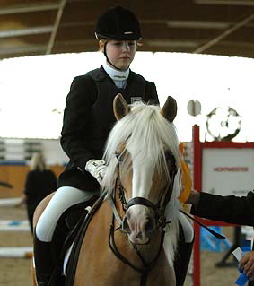 Foto: Haflinger aktuell