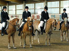 Foto: Haflinger aktuell