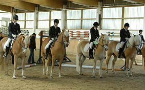 Foto: Haflinger aktuell